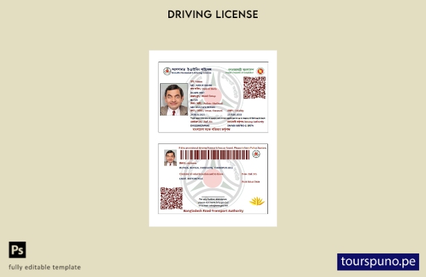 lista para imprimir plantilla de licencia de conducir electrónica no profesional